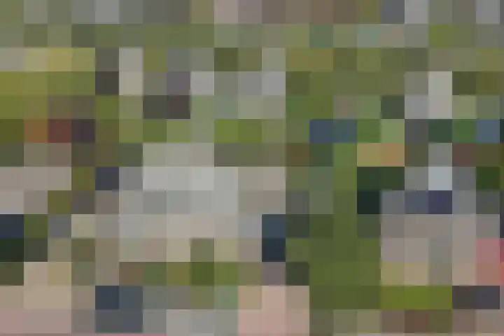 Kaap 19 Emmeloord thumbnail 37
