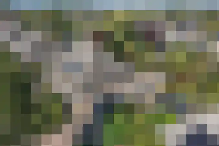 Kaap 19 Emmeloord thumbnail 38