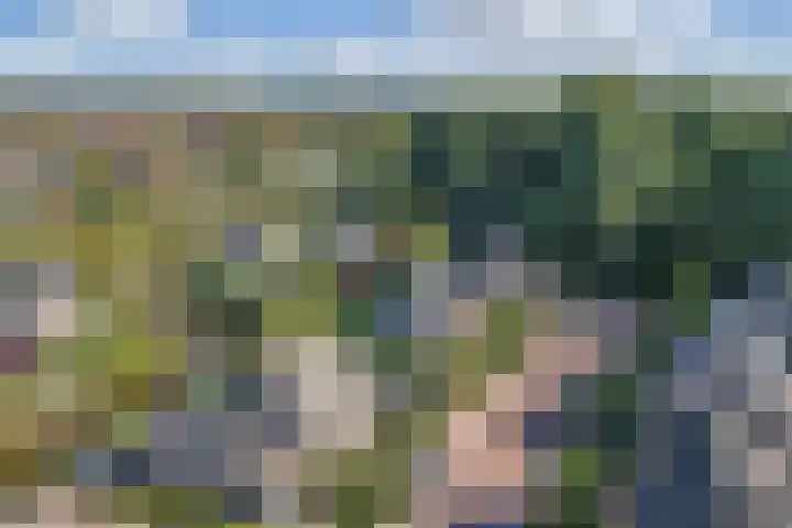 Kaap 19 Emmeloord thumbnail 39