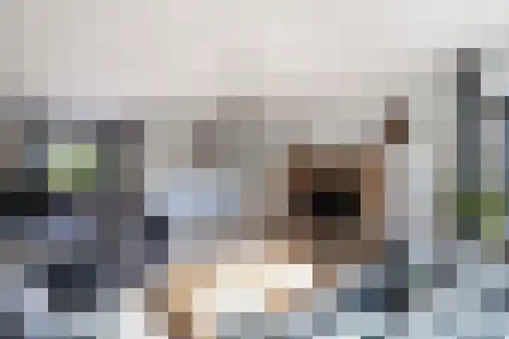 Kaap 19 Emmeloord thumbnail 5