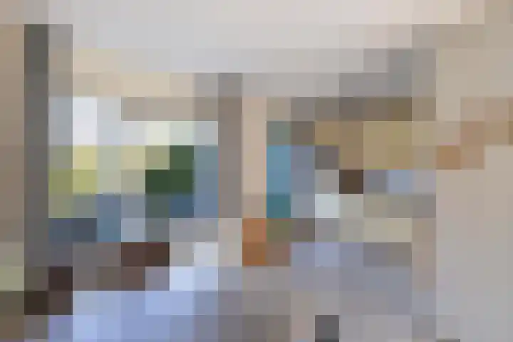 Kaap 19 Emmeloord thumbnail 6