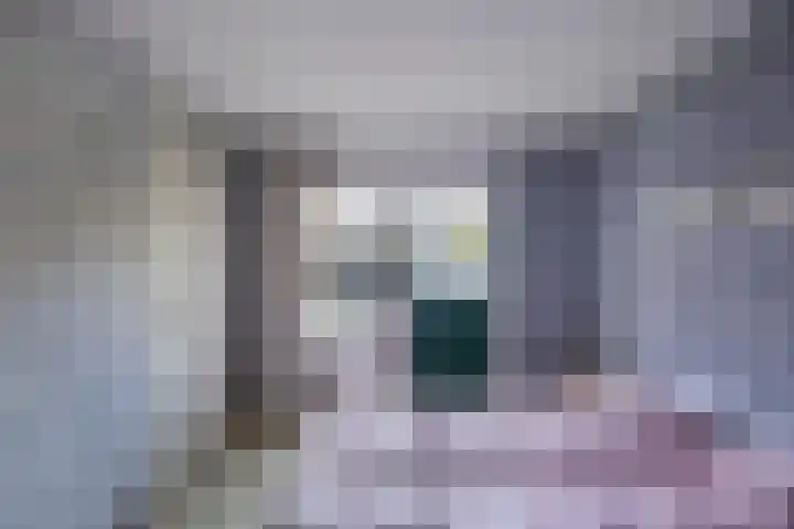 Kaap 19 Emmeloord thumbnail 9