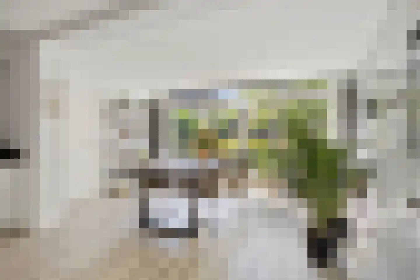 Kaap 8 Emmeloord thumbnail 15