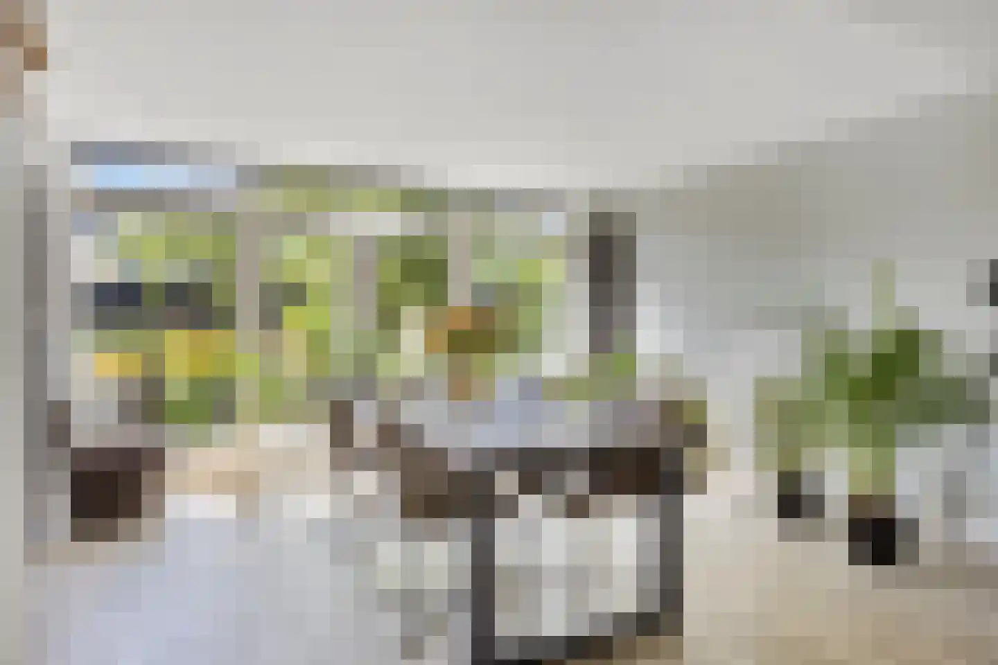 Kaap 8 Emmeloord thumbnail 16