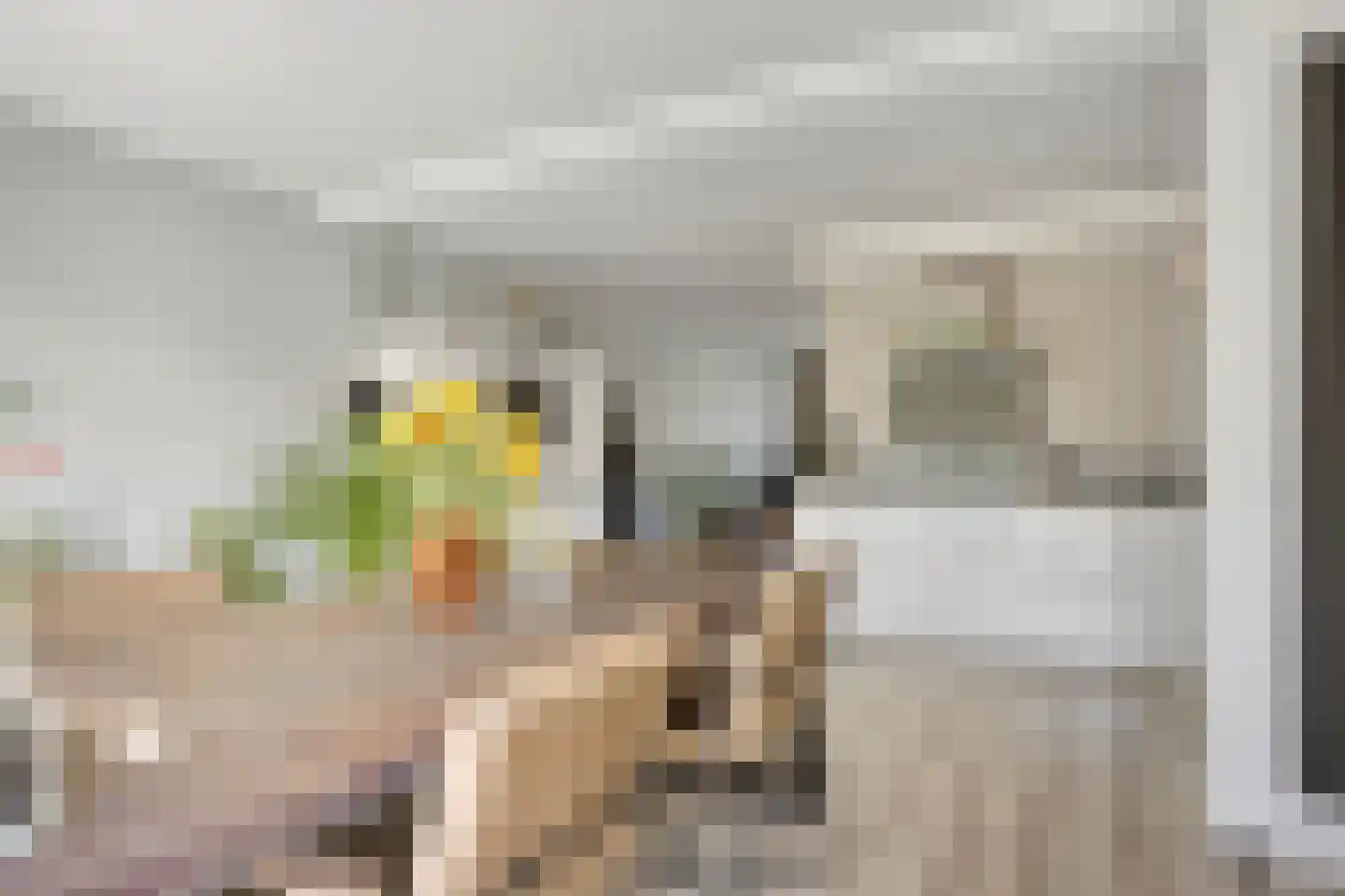 Kaap 8 Emmeloord thumbnail 17
