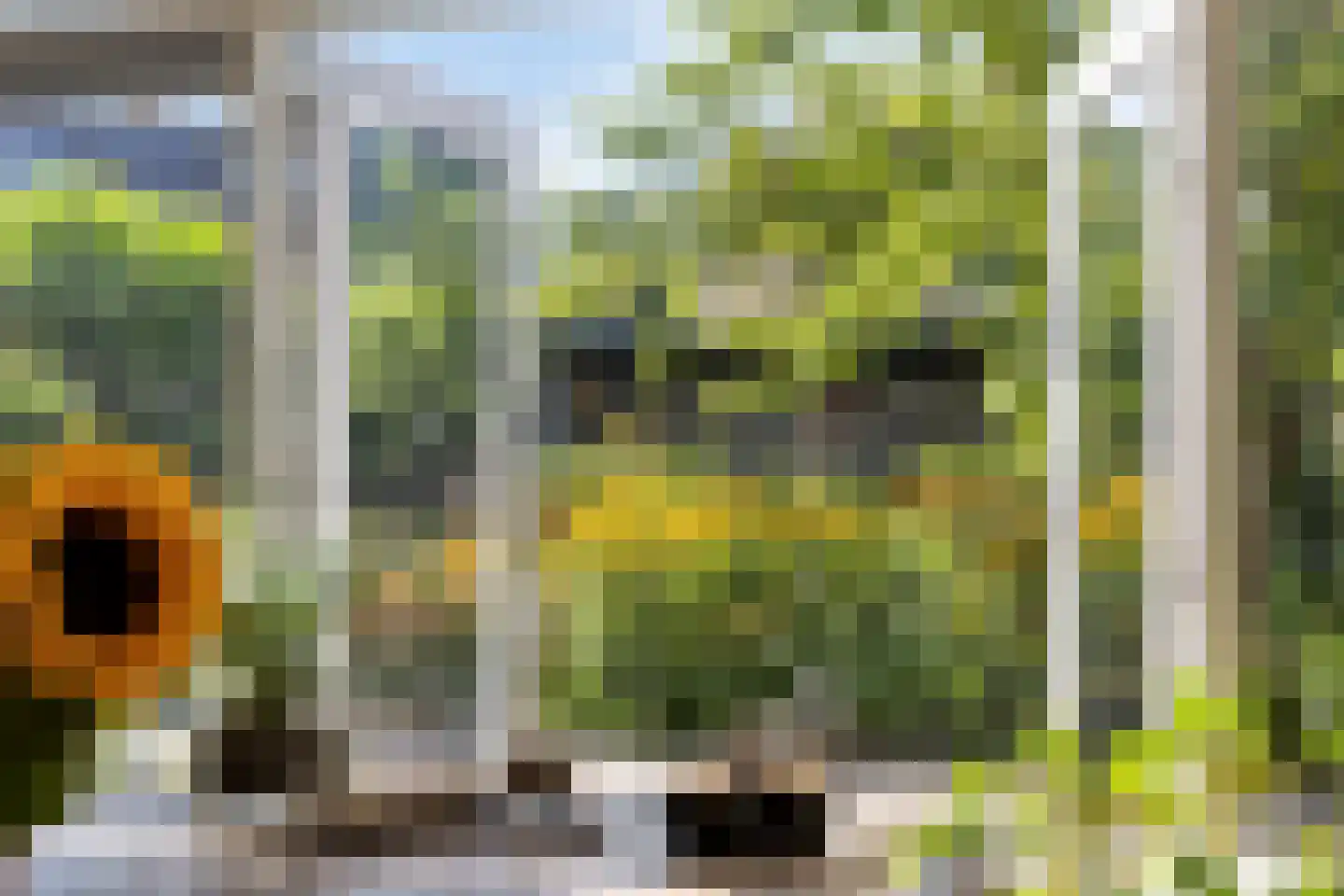 Kaap 8 Emmeloord thumbnail 19