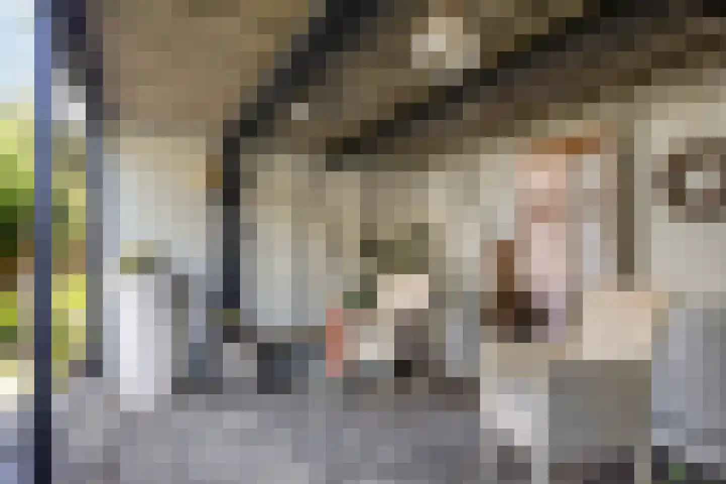 Kaap 8 Emmeloord thumbnail 37