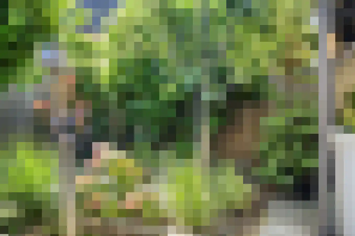 Kaap 8 Emmeloord thumbnail 41
