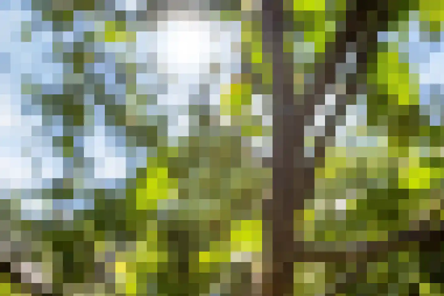 Kaap 8 Emmeloord thumbnail 42
