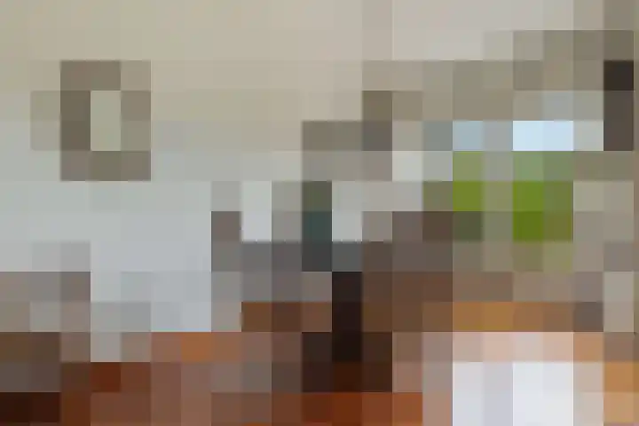 Kaap de Goede Hoop 31 Veendam thumbnail 11