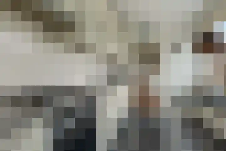 Kaap de Goede Hoop 31 Veendam thumbnail 12