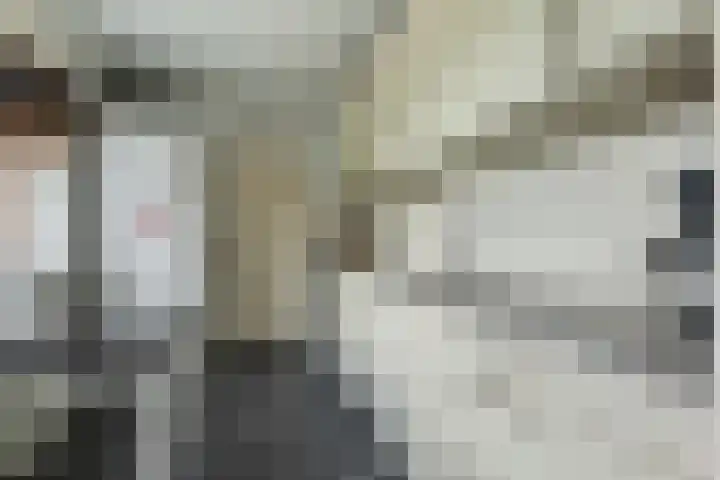 Kaap de Goede Hoop 31 Veendam thumbnail 13