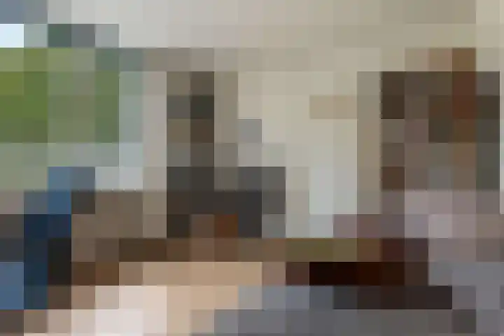 Kaap de Goede Hoop 31 Veendam thumbnail 17