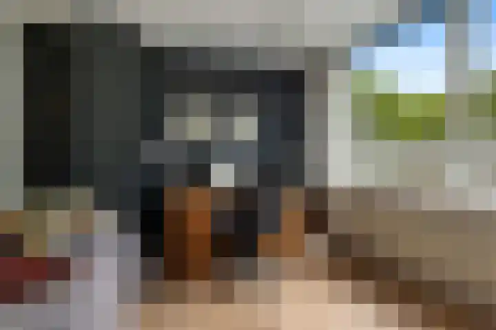 Kaap de Goede Hoop 31 Veendam thumbnail 18