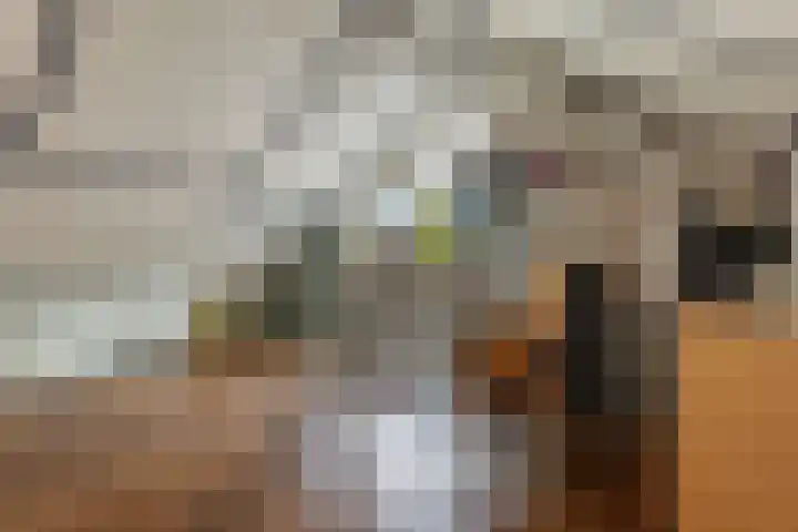 Kaap de Goede Hoop 31 Veendam thumbnail 21