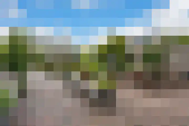 Kaap de Goede Hoop 31 Veendam thumbnail 22
