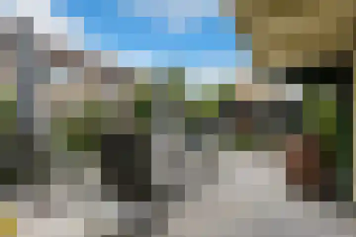Kaap de Goede Hoop 31 Veendam thumbnail 23
