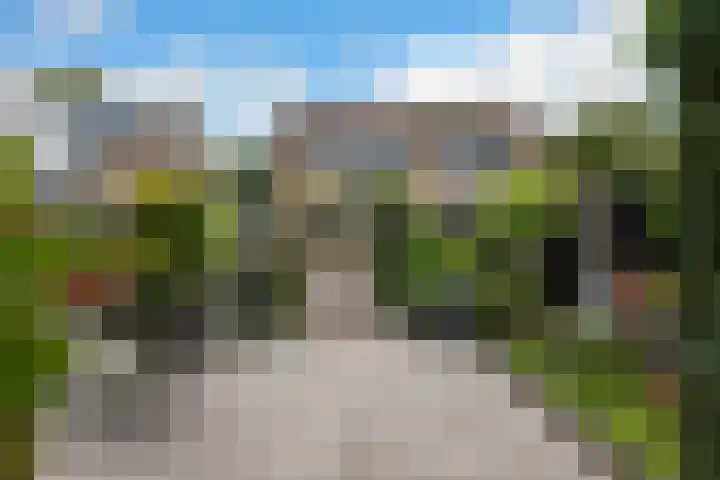 Kaap de Goede Hoop 31 Veendam thumbnail 24
