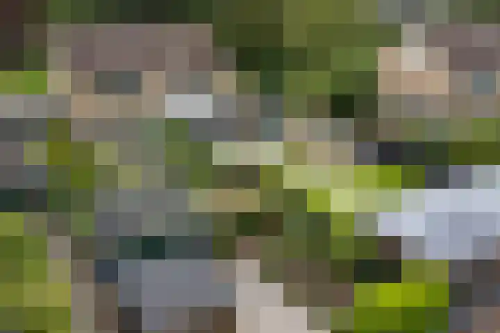 Kaap de Goede Hoop 31 Veendam thumbnail 29