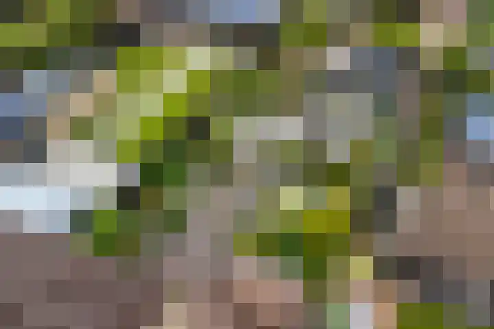 Kaap de Goede Hoop 31 Veendam thumbnail 30