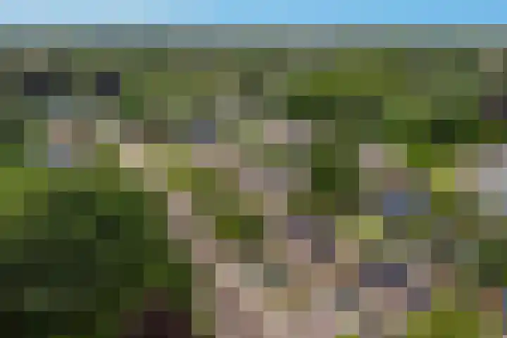 Kaap de Goede Hoop 31 Veendam thumbnail 35