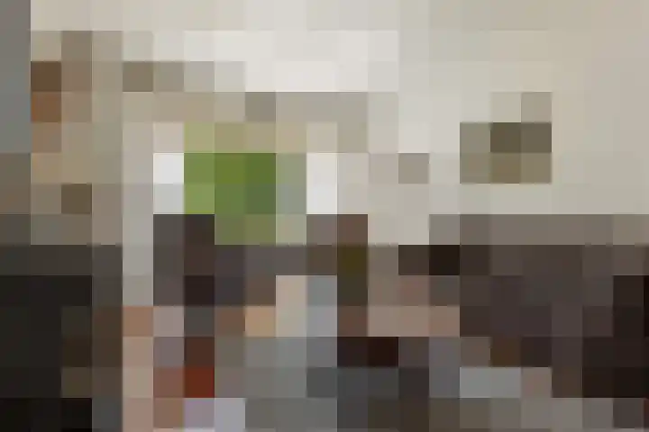 Kaap de Goede Hoop 31 Veendam thumbnail 8