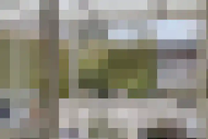 Kaap Hoorn 1 Veendam thumbnail 23