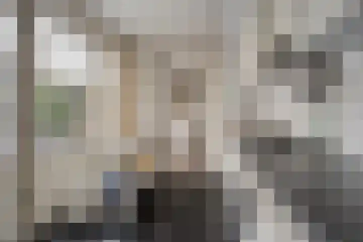 Kaap Hoorn 1 Veendam thumbnail 25