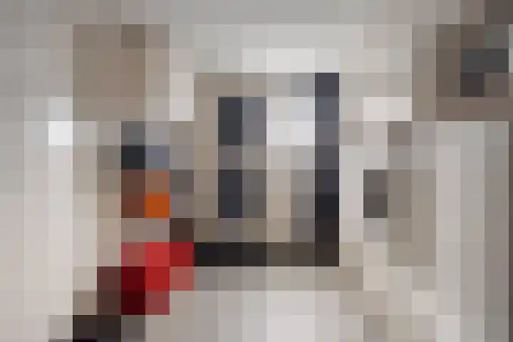 Kaap Hoorn 1 Veendam thumbnail 26