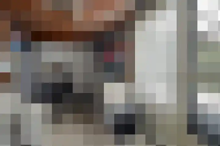 Kaap Hoorn 1 Veendam thumbnail 27