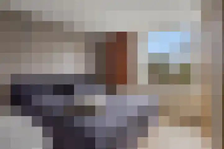 Kaap Hoorn 1 Veendam thumbnail 30