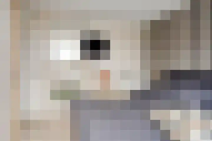 Kaap Hoorn 1 Veendam thumbnail 31