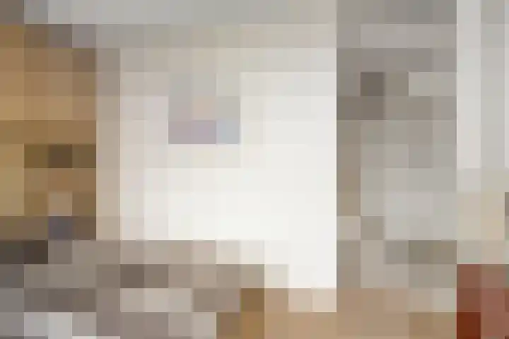 Kaap Hoorn 1 Veendam thumbnail 37