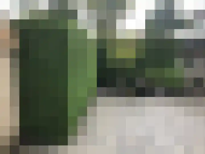 Kaap Hoorn 1 Veendam thumbnail 43
