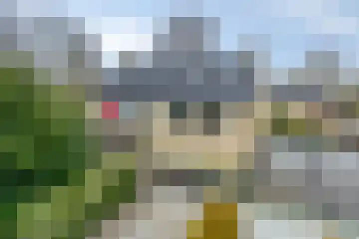 Kaap Hoorn 1 Veendam thumbnail 48
