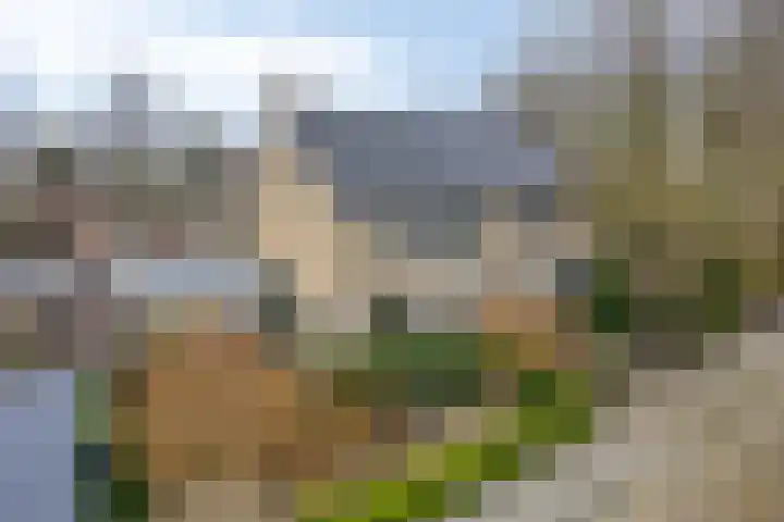 Kaap Hoorn 1 Veendam thumbnail 5