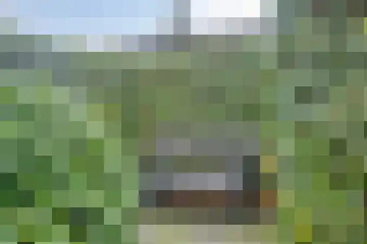 Kaap Hoorn 1 Veendam thumbnail 50