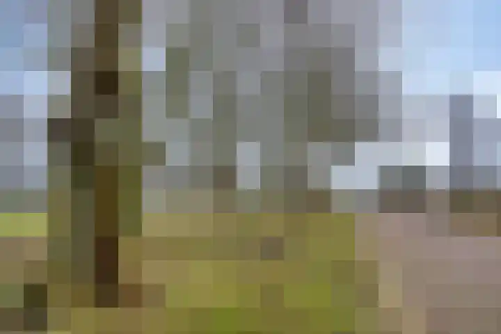 Kaap Hoorn 1 Veendam thumbnail 56