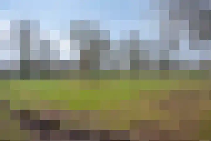Kaap Hoorn 1 Veendam thumbnail 57