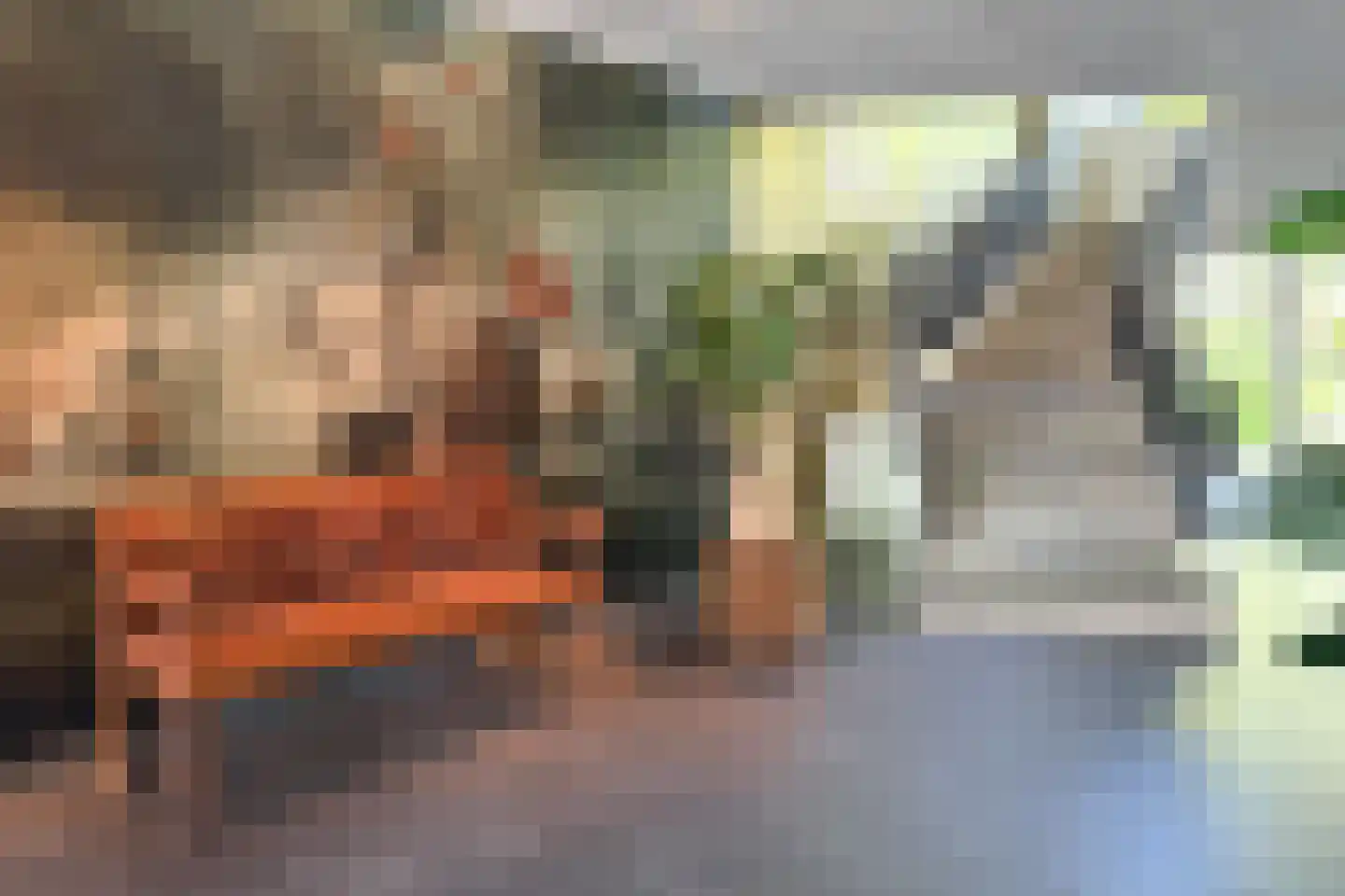 Kaap Hoorn 16 Hoorn thumbnail 13