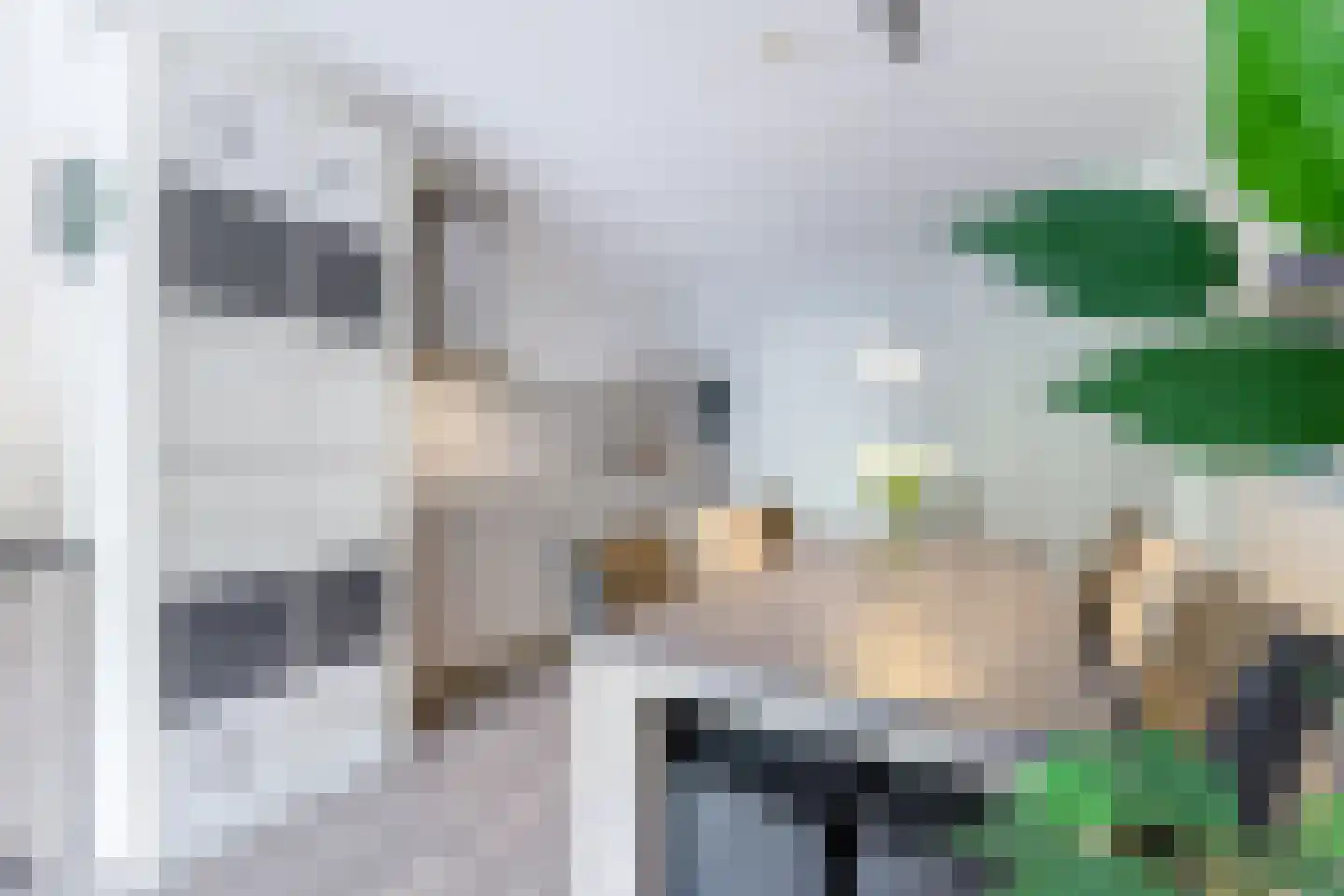 Kaap Hoorn 16 Hoorn thumbnail 24