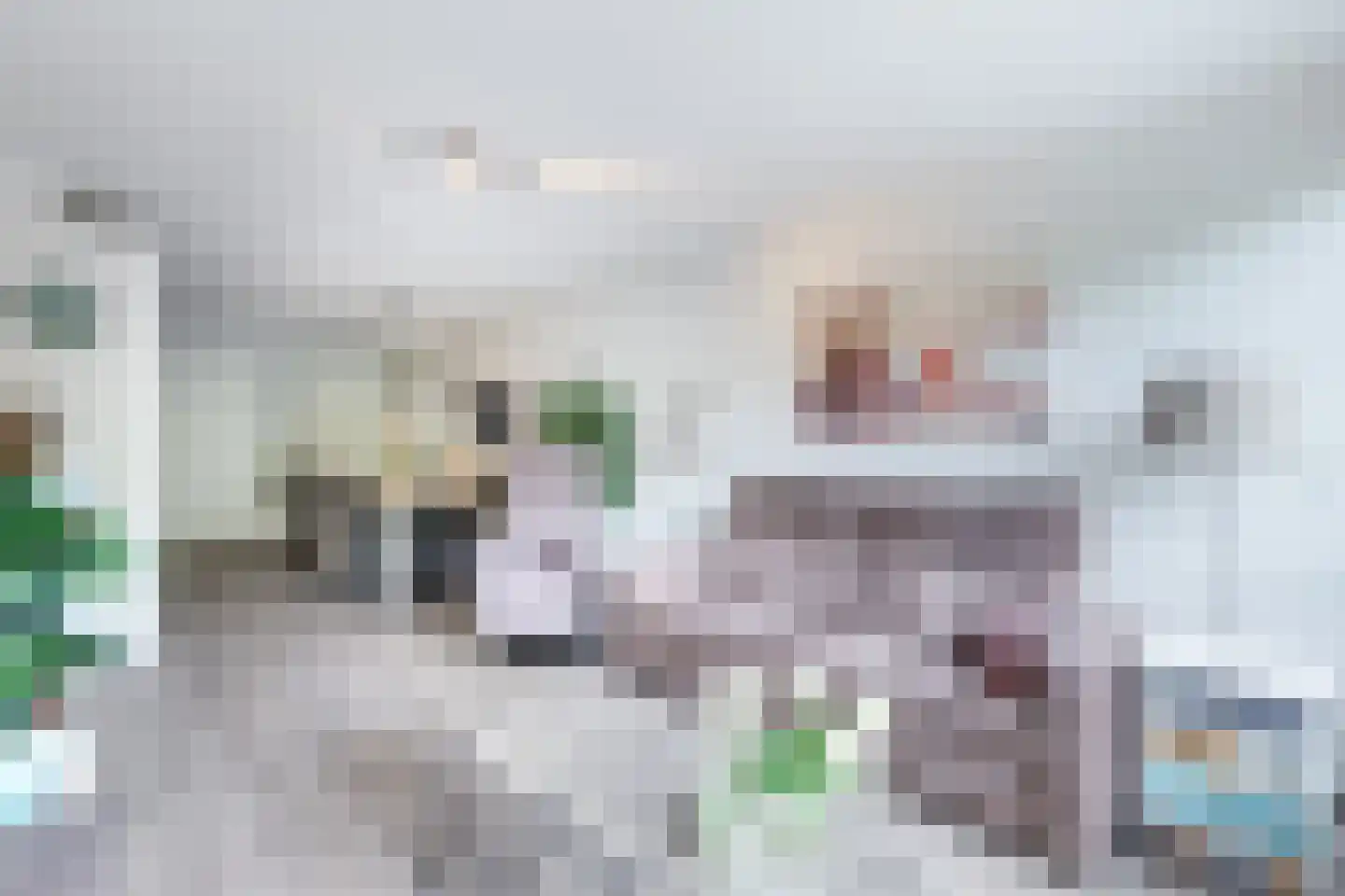 Kaap Hoorn 16 Hoorn thumbnail 27