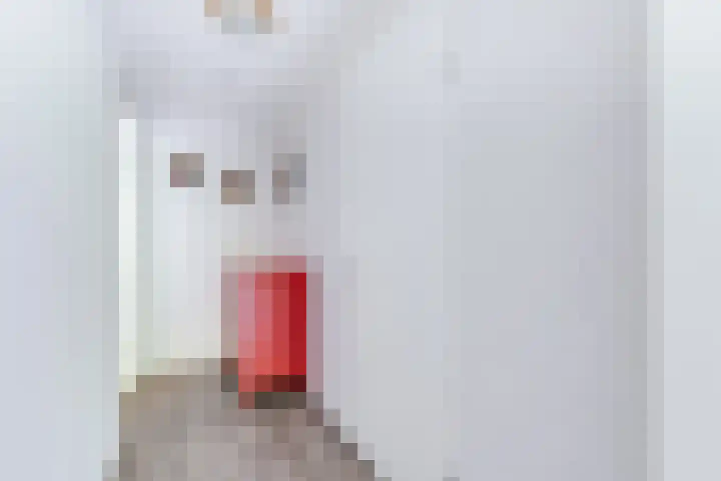 Kaap Hoorn 16 Hoorn thumbnail 33