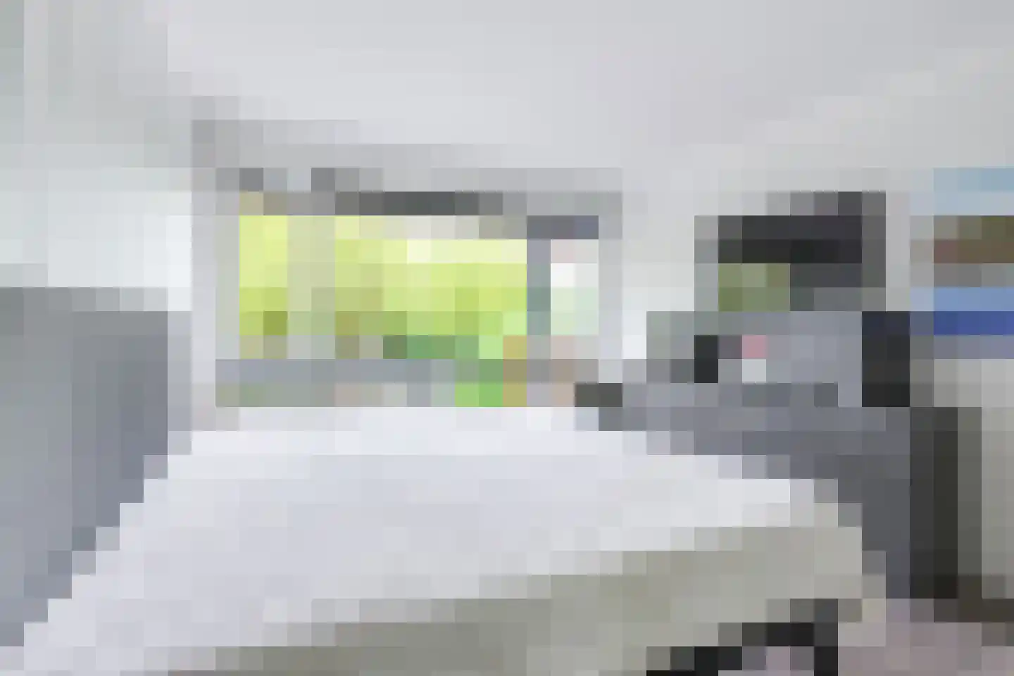 Kaap Hoorn 16 Hoorn thumbnail 35
