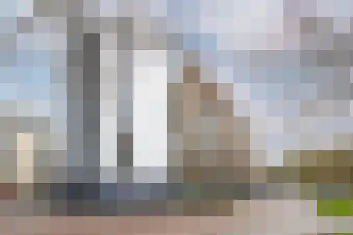 Kaap Hoorn 17 Hoorn thumbnail 10