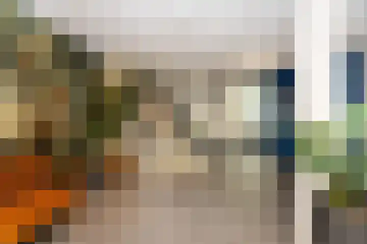 Kaap Hoorn 17 Hoorn thumbnail 13