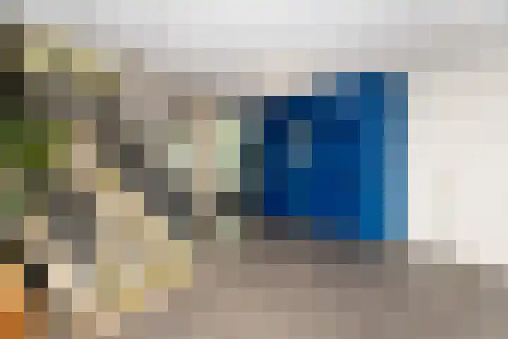 Kaap Hoorn 17 Hoorn thumbnail 14