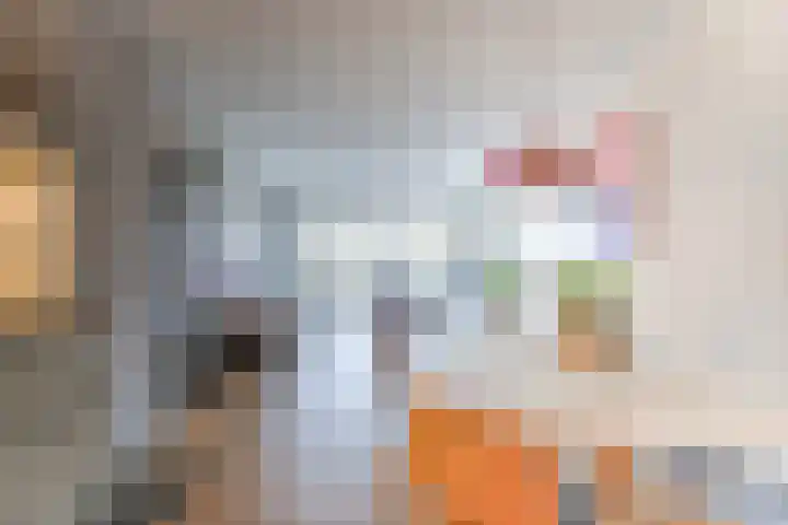 Kaap Hoorn 17 Hoorn thumbnail 20