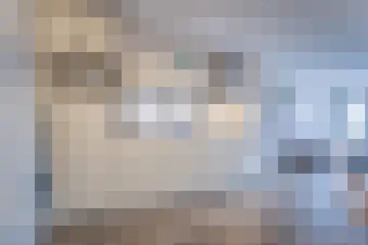 Kaap Hoorn 17 Hoorn thumbnail 27