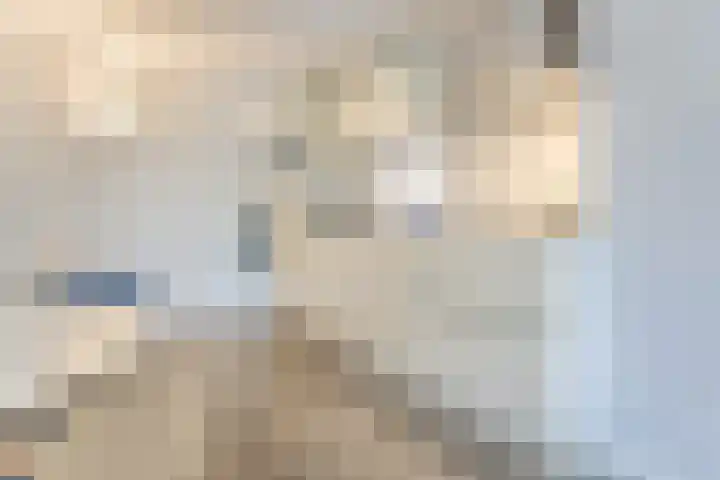 Kaap Hoorn 17 Hoorn thumbnail 4